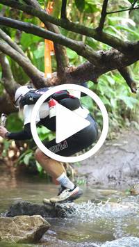 BIB:  <button type="button" onclick="openModal(27515139)" class="btn btn-primary btn-sm float-right" data-toggle="modal" data-target=".modal-high-quality">
                <i class="fa fa-download"></i> Download
                </button>